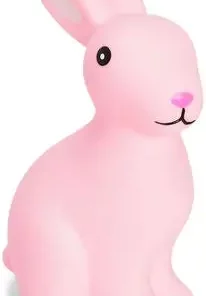 Cloudberry Castle Nattlampe, Kanin